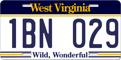 WV license plate 1BN029