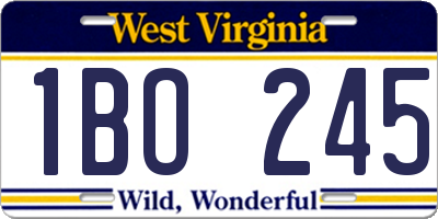 WV license plate 1BO245