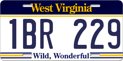 WV license plate 1BR229