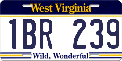 WV license plate 1BR239