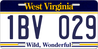 WV license plate 1BV029