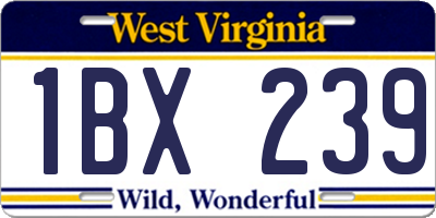 WV license plate 1BX239