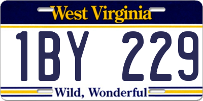 WV license plate 1BY229