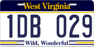 WV license plate 1DB029