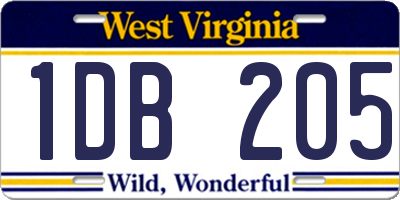 WV license plate 1DB205