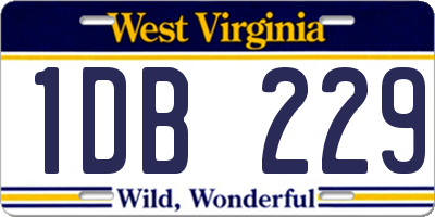 WV license plate 1DB229