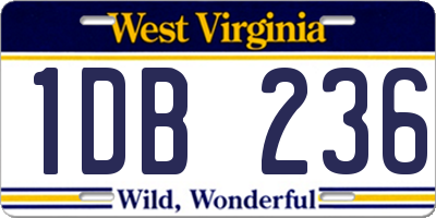 WV license plate 1DB236