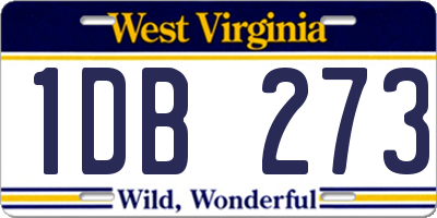 WV license plate 1DB273
