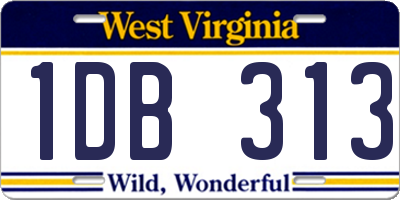 WV license plate 1DB313