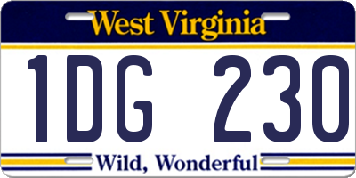 WV license plate 1DG230