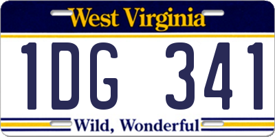 WV license plate 1DG341