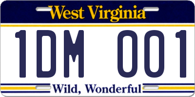 WV license plate 1DM001