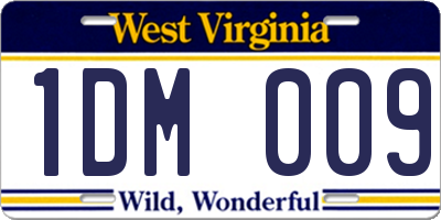 WV license plate 1DM009