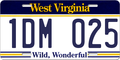 WV license plate 1DM025