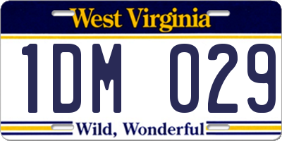 WV license plate 1DM029