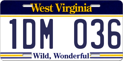 WV license plate 1DM036