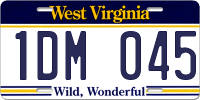 WV license plate 1DM045