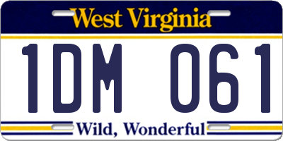 WV license plate 1DM061