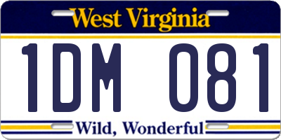 WV license plate 1DM081