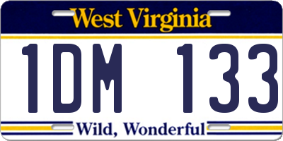 WV license plate 1DM133