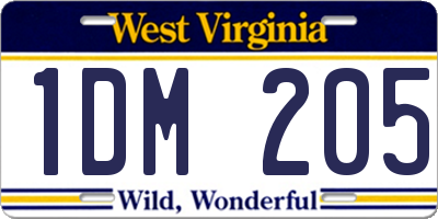 WV license plate 1DM205