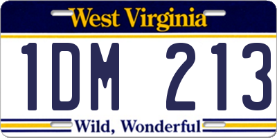 WV license plate 1DM213