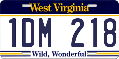 WV license plate 1DM218