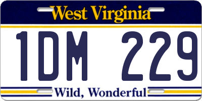 WV license plate 1DM229