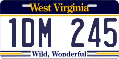 WV license plate 1DM245