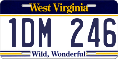 WV license plate 1DM246