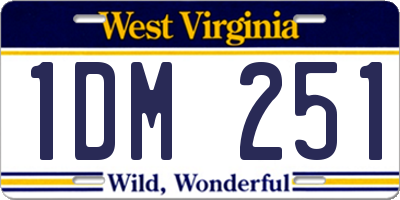 WV license plate 1DM251