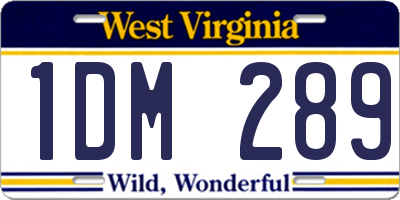 WV license plate 1DM289