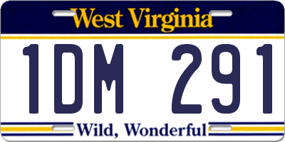 WV license plate 1DM291