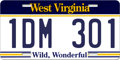 WV license plate 1DM301