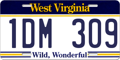 WV license plate 1DM309