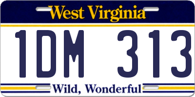 WV license plate 1DM313