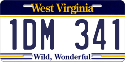 WV license plate 1DM341