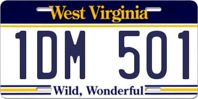 WV license plate 1DM501