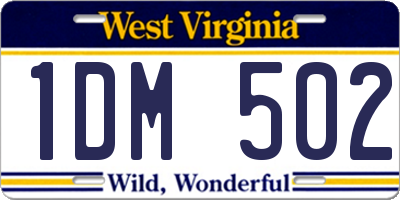 WV license plate 1DM502
