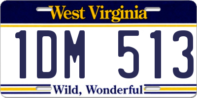 WV license plate 1DM513