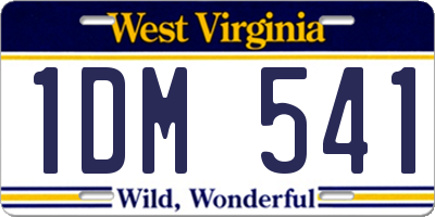 WV license plate 1DM541
