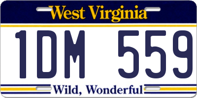 WV license plate 1DM559