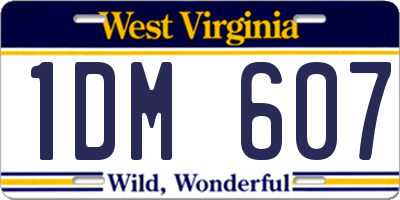 WV license plate 1DM607