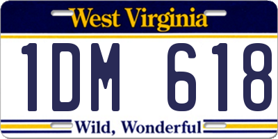 WV license plate 1DM618