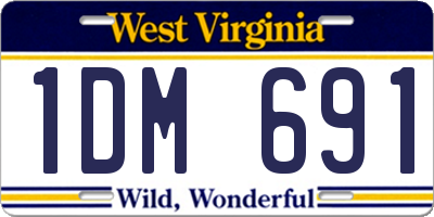 WV license plate 1DM691
