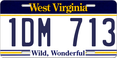WV license plate 1DM713