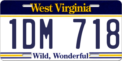 WV license plate 1DM718