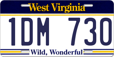 WV license plate 1DM730
