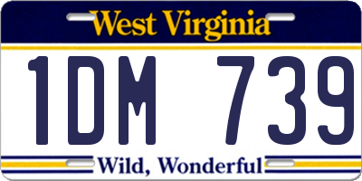 WV license plate 1DM739