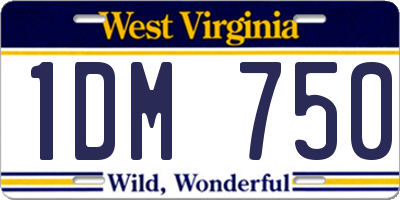 WV license plate 1DM750
